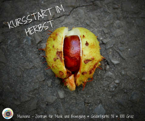 Kursprogramm Im Herbst 2018 (1)